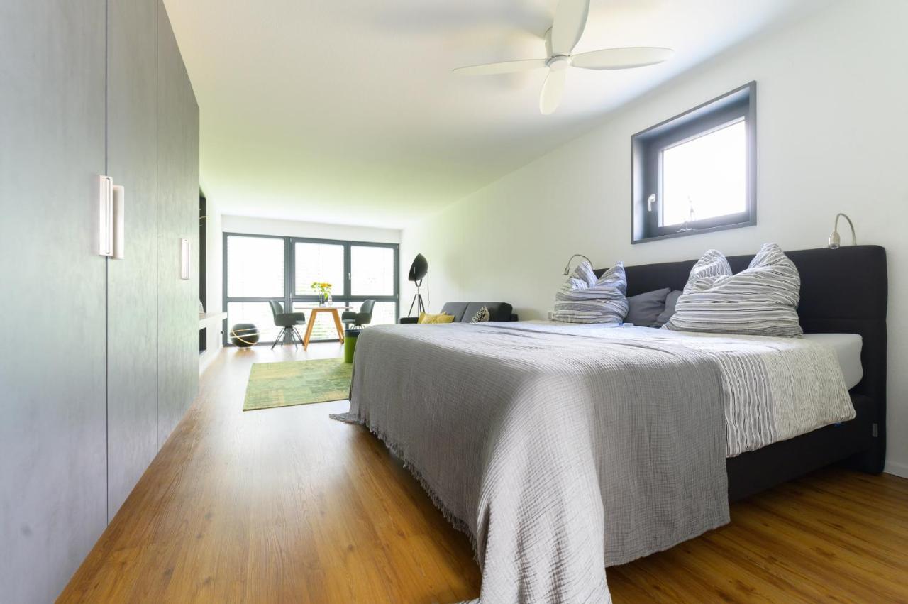 Das Andere - Gaesteapartment Kippenheim Kültér fotó